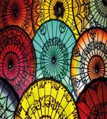Umbrella Market