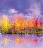 Fall Season Trees River