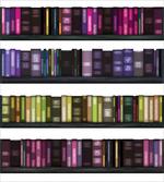 Colorful Books on Shelves