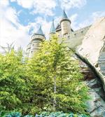 Witchcraft Castle Japan