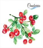 Fresh Botanical Nature