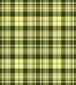 Scottish Quilt