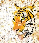Vector Wildlife Tiger