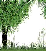 Tree Grass Summer