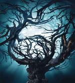 Night Big Mystic Tree artwork