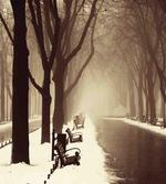 Street View Foggy Day