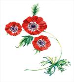 Red Watercolors