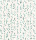 Floral Fresh Plants