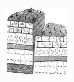 Rock Formation Theme School