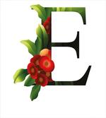 Alphabet Red Blooms
