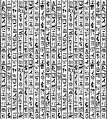 Hieroglyphics Language