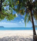 Tropical Beach Ocean
