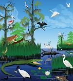 Wild Fauna Around the River