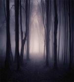 Deep in Spooky Jungle artwork