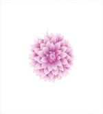 Purple Dahlia with Magenta artwork
