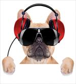 DJ Bulldog Music
