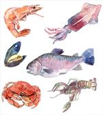 Sea Animals Watercolor