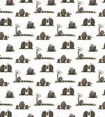 Life of Rodent Mammals