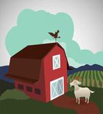 Rural Farmland Crop Bovine