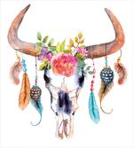 Bull Skull