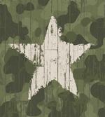 Grunge Star on Green