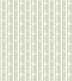 Bamboo Branches Leaves