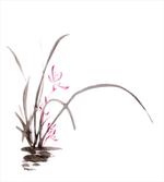 Traditional Ink Orchid