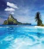 Ocean Mountain Palms
