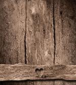 Heart on Wood artwork
