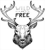 Deer Wild Free