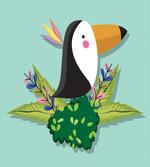 Tropic Tucan Bird