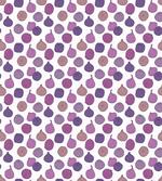 Purple Tones Figs Fruit Art