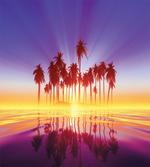 Dramatic Background Palm Trees