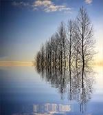 Frozen Lake in Nature artwork