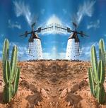 Windmill and Exotic Cactus