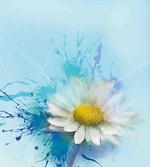 Painting Effect Daisy