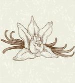 Vintage Aromatic Flower