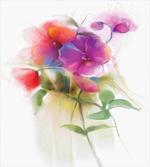 Blooming Orchid Pastel
