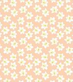 Abstract Lilium Candidum
