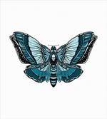 Skull on Butterfly Body