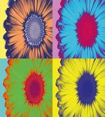 Daisy Flower Collage