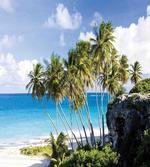 Ocean Exotic Beach