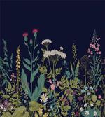Rural Herbs Flowers