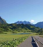 Mountain and Grassy Land