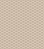 Primitive Motif