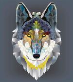 Wolf Coyote Portrait Art