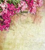Vintage Oleander Flowers
