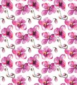 Orchids Feng Shui