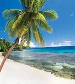 Island Paradise for Travelers