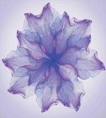 Blossoming Petals Pattern